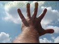El Arriero de los SIglos. Kelium Zeus