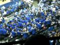 Memphis Tigers Band