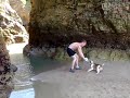 Bulldog cross staff trying not to get wet