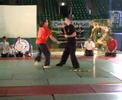 demo au gala des arts martiaux de nantes