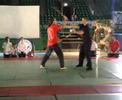 demo au gala des arts martiaux de nantes
