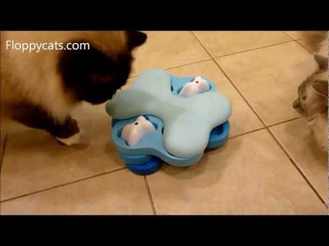 Nina Ottosson Dog Tornado Cat Puzzle Toy Review 0 Nina Ottosson Dog Tornado Cat Puzzle Toy Review