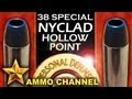 AMMOTEST: 38 Special Nyclad Hollow Point Self Defense vs. Lead Cast Bullet in Ruger SP101
