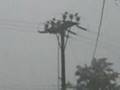 granizada cananea