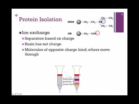 how to perform ion exchange chromatography