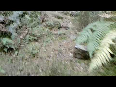 See video