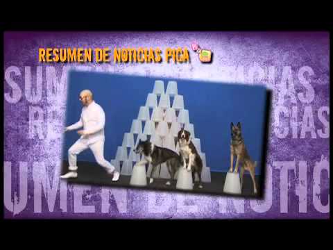 Imagen de previsualización de YouTube