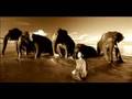 Flying-Elephants-Pre