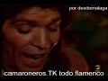 camaron tomatito seguiriyas