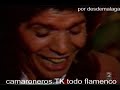 camaron tomatito seguiriyas