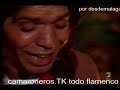 camaron tomatito seguiriyas
