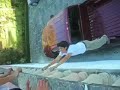 dana alias spiderman