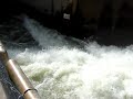 MOV01478.MPG
