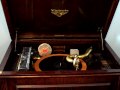 Orthophonic Victrola - Where the Wild, Wild Flowers Grow - Victor 20717