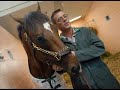 Barbaro Barbaro