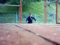 sato ryu ninjutsu