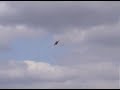 really-low-flyby.html