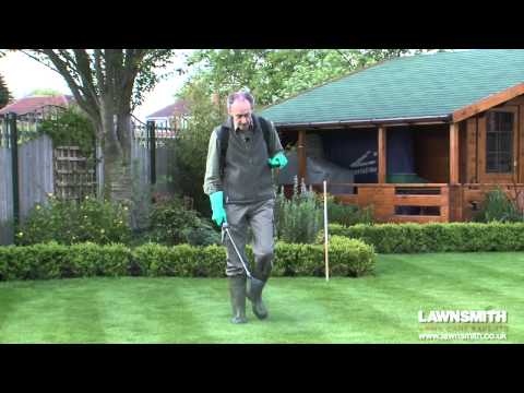 how to use 2 4-d in lawn care