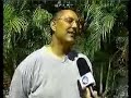 hospedagem de c�es