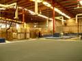 videos de CHEER TEAM FRESNILLO