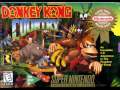Donkey Kong Country - Treetop Rock (fusion remix)