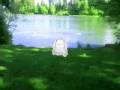 videos de ZoZe the Temptation to Fail 0G (7of9)