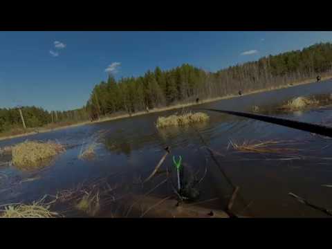 Другие видео из категории Comments • 12