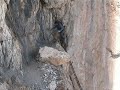 Via Ferrata Castiglioni - Nothin\