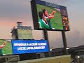Portugal vs Mexico FIFA U-20 World Cup
