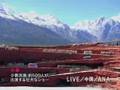 檀れい動画12