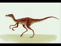 Ornitholestes tribute