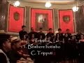 Triptico - Claudio Tripputi