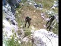 Rambo - s.w.a.t. Nard� - torneo - il sole scotta a cipro