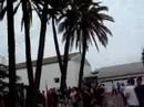 Agronomy-fiesta-2008