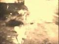 Magna Hungaria - Kitörés
