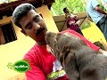 Success story of dog keeping as a business enterprise of a young man.