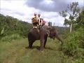 Bali Elephant