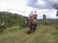 Bali Elephant