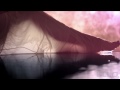 Александр Панайотов - Нереальная (2012), mp4, 320x240