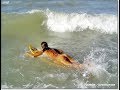 Cavalo-marinho em Canoa Quebrada! hippocampus-seahorse?
