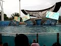 Shamu - Part - 2 The killer whale Rocks in Orlando, Florida Shamu - Part - 2 The killer whale Rocks in Orlando, Florida