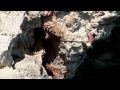 Cala Barques