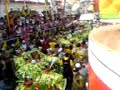 salida del 27 febrero de las fieras carnaval vegano