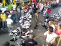 salida del 27 febrero de las fieras carnaval vegano