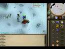 1k Aviansies Trip