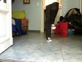 /soiimuipenee & /imjuanii 3.1 /soiimuipenee & /imjuanii 3.1