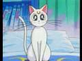 MAC Chill Collection Look/ Artemis (sailor moon series)