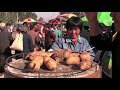 Learn Chinese - Living China: Shandong Part 1, Animals