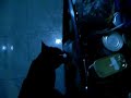 Cat Opens Door! ???