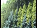 Manastirea PRISLOP